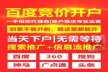 百度SEO与广告结合的多元化推广策略——多行业成功案例